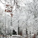 Het Uilennest In