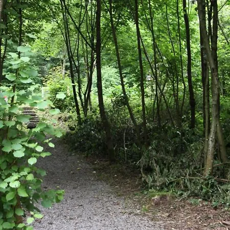 Het Uilennest In دربي