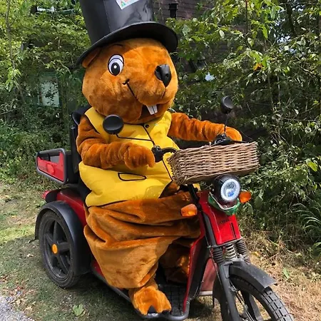 Het Uilennest In * دربي