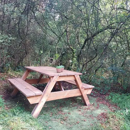 Het Uilennest In شاليه *