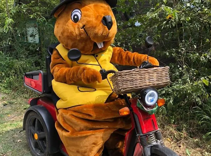 Het Uilennest In * Durbuy