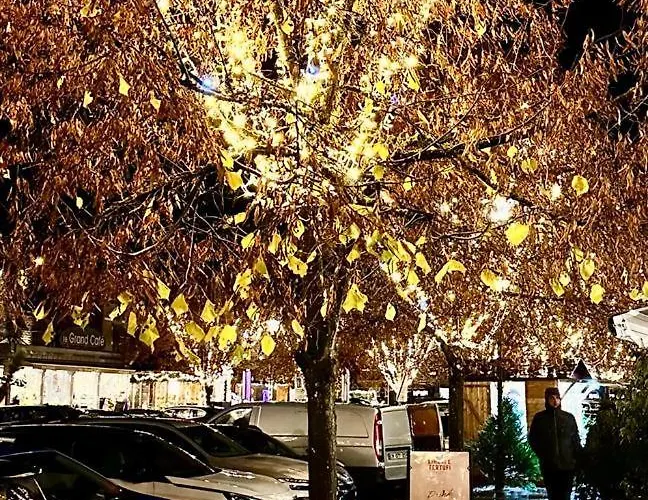 Het Uilennest In Chalet *