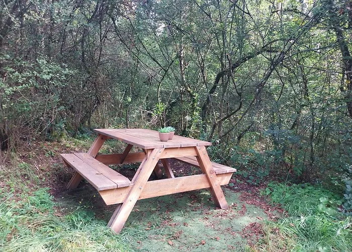 Het Uilennest In Chalet *